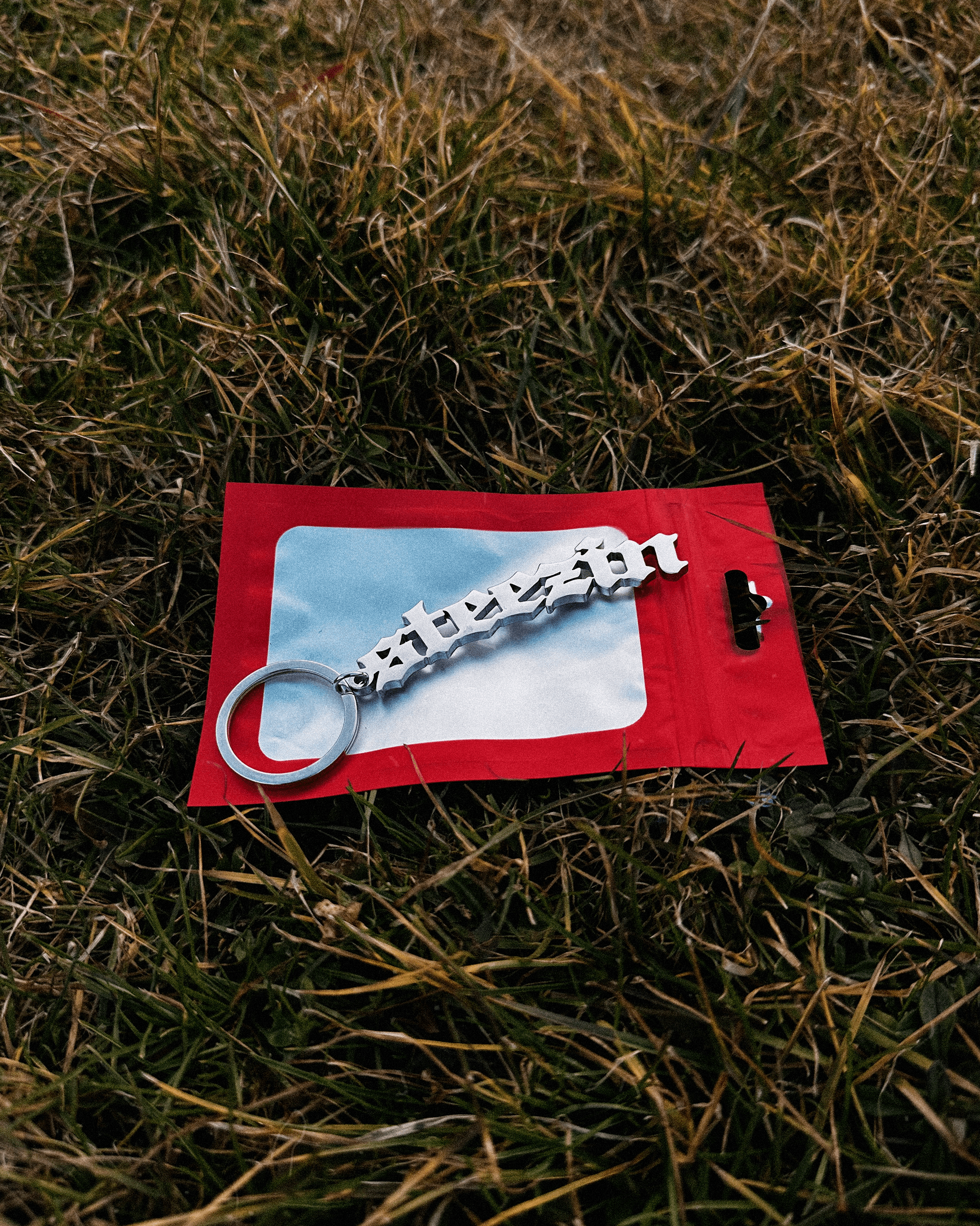 STEEZIN KEYCHAIN