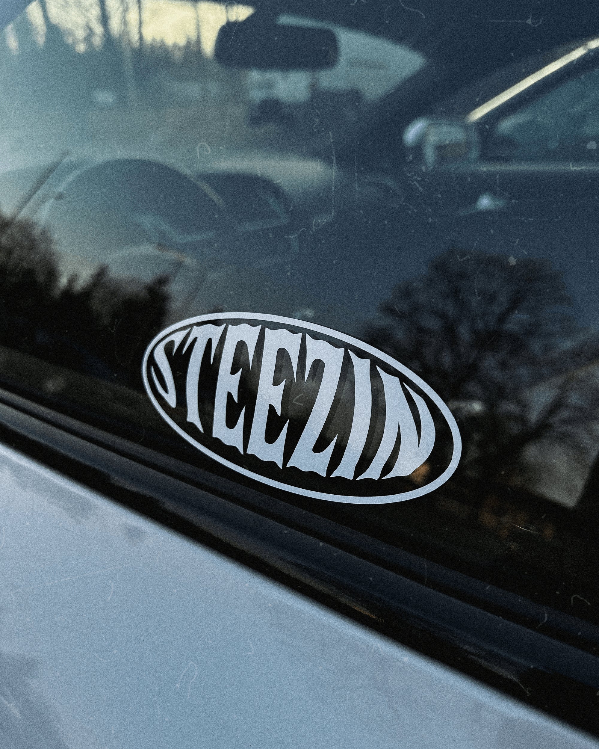 STEEZIN FISHEYE DECAL