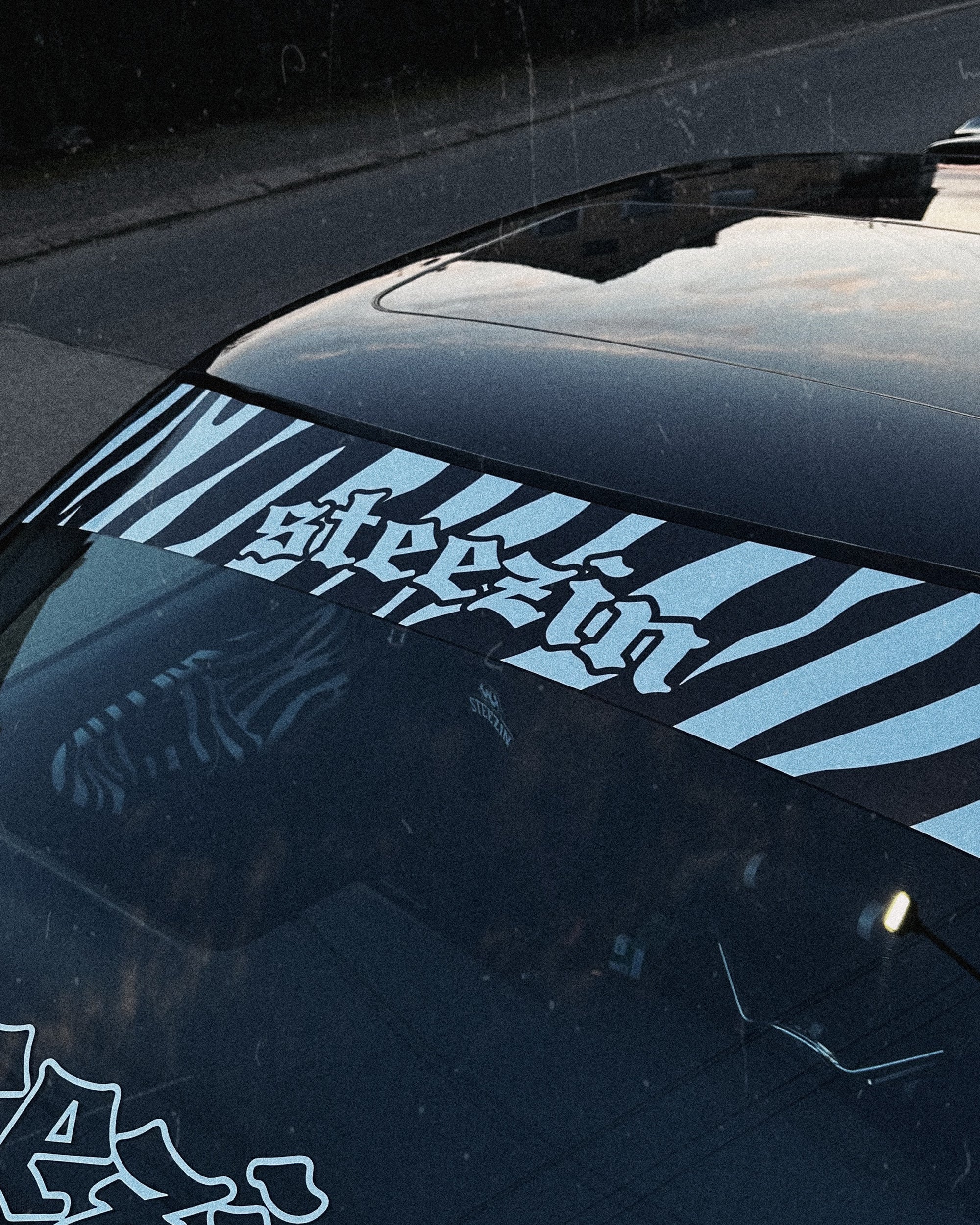 SUNSTRIP ZEBRA